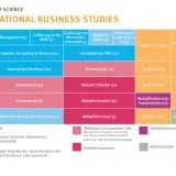 Studienplan für "International Business Studies" mit Modulen wie Management, Taxation, Accounting & Finance, VWL und Sprachen. Zeigt den Weg zur internationalen Wirtschaft.