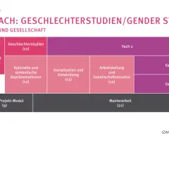 Studienplan für ein Masterstudium in Gender Studies. Zeigt Module wie "Geschlecht und Gesellschaft" und "Masterarbeit".