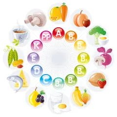 Vitamine A, B, C, D, E, K, PP und ihre Quellen. Ideal für ein lebensmittelchemie studium.