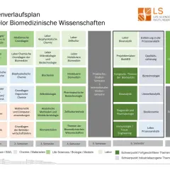 Studienverlaufsplan für das **Bioscience Studium** Bachelor Biomedizinische Wissenschaften. Zeigt Module wie Humanbiologie, Chemie, Mikrobiologie und praktische Studienphasen.