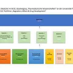 Studienplan für "Pharmazeutische Wissenschaften" an der Uni Freiburg. Zeigt Module für das Studium, z.B. Chemie, Biologie und Masterarbeit.