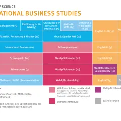 Studienplan für den Bachelor of Science in International Business Studies. Zeigt Module über 6 Semester, Pflicht- und Wahlpflichtbereiche.