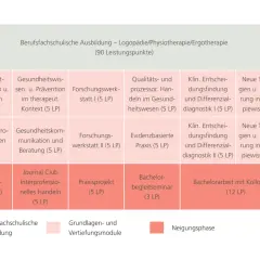 Studienplan für das Therapiewissenschaften Studium: Module wie "Wissenschaftliches Arbeiten" und "Klinische Entscheidungsfindung" bereiten auf die Praxis vor.