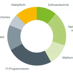 Kreisdiagramm zeigt Module eines bioinformatik studium: IT-Programmieren, Bioinformatik, Überfachliches, Wahlpflicht, Softwaretechnik, Naturwissenschaften, Mathematik.