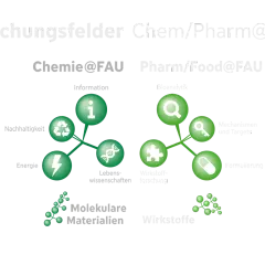 Forschungsfelder Chemie@FAU & Pharm/Food@FAU. Ein konsekutiver Master kann hier in Bereichen wie Wirkstoffforschung, Bioanalytik oder molekulare Materialien vertieft werden.