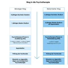 Der Weg zur Psychotherapeutin: früher 4 Jahre Bachelor, 1 Jahr Master, dann Ausbildung (PIA). Reformiert: 3 Jahre Bachelor, 2 Jahre Master mit Approbation, dann Weiterbildung (PiW).