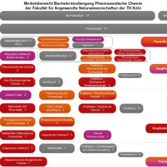 Modulübersicht Pharmazeutische Chemie (Bachelor) der TH Köln: Ein Wegweiser für das Pharmazie Studium NRW, von Grundlagen bis zum Praxisprojekt.