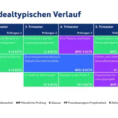 Übersicht über Module im medizinmanagement studium über sechs Trimester, mit Prüfungsformen und ECTS.