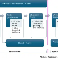 Der Bachelor ist ein erster Studienabschluss, oft 3 Jahre. Danach folgen Master, Praxis und Spezialisierung.