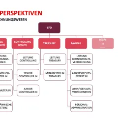 Karrierewege im Finanz- & Rechnungswesen: CFO, Controlling, Treasury, Payroll, Legal/IT. Zeigt verschiedene Rollen wie Buchhalter, Controller und Lohnverrechner.