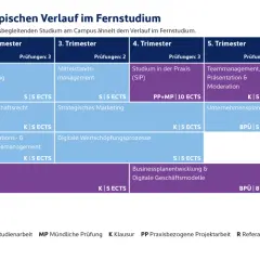 Idealtypischer Verlauf eines Bachelor of Arts BWL-Studiums über 6 Trimester, mit Modulen wie Strategisches Management, Wirtschaftsrecht und Bachelorphase.