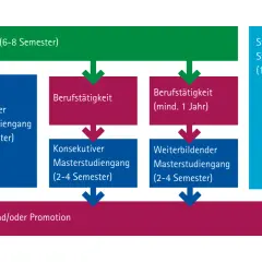 Flussdiagramm zeigt, wie viele Semester ein Bachelorstudium dauert (6-8 Semester) und welche Wege danach möglich sind.