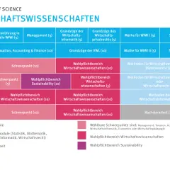 Studienplan für Wirtschaftswissenschaften: Module von Einführung bis Bachelorarbeit, die auf vielfältige wirtschaftswissenschaften berufe vorbereiten.