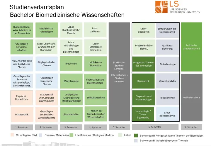 Studienverlaufsplan für das **Bioscience Studium** Bachelor Biomedizinische Wissenschaften. Zeigt Module wie Humanbiologie, Chemie, Mikrobiologie und praktische Studienphasen.