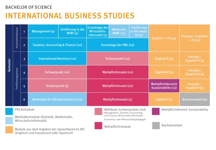 Studienplan für den Bachelor of Science in International Business Studies. Zeigt Module über 6 Semester, Pflicht- und Wahlpflichtbereiche.
