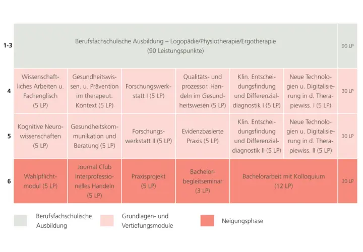 Studienplan für das Therapiewissenschaften Studium: Module wie "Wissenschaftliches Arbeiten" und "Klinische Entscheidungsfindung" bereiten auf die Praxis vor.
