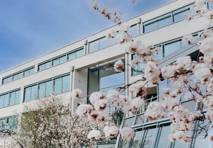Blühende Kirschbäume vor dem modernen Gebäude der FOM Hochschule Essen.