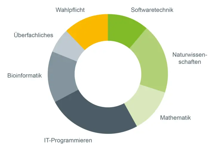 Kreisdiagramm zeigt Module eines bioinformatik studium: IT-Programmieren, Bioinformatik, Überfachliches, Wahlpflicht, Softwaretechnik, Naturwissenschaften, Mathematik.