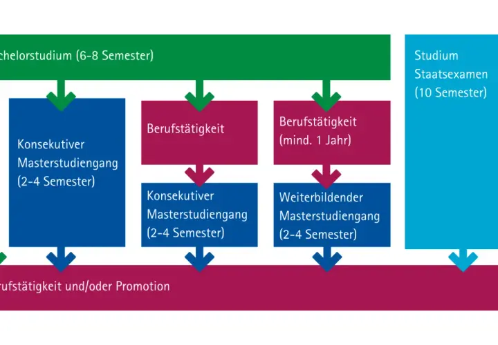 Flussdiagramm zeigt, wie viele Semester ein Bachelorstudium dauert (6-8 Semester) und welche Wege danach möglich sind.