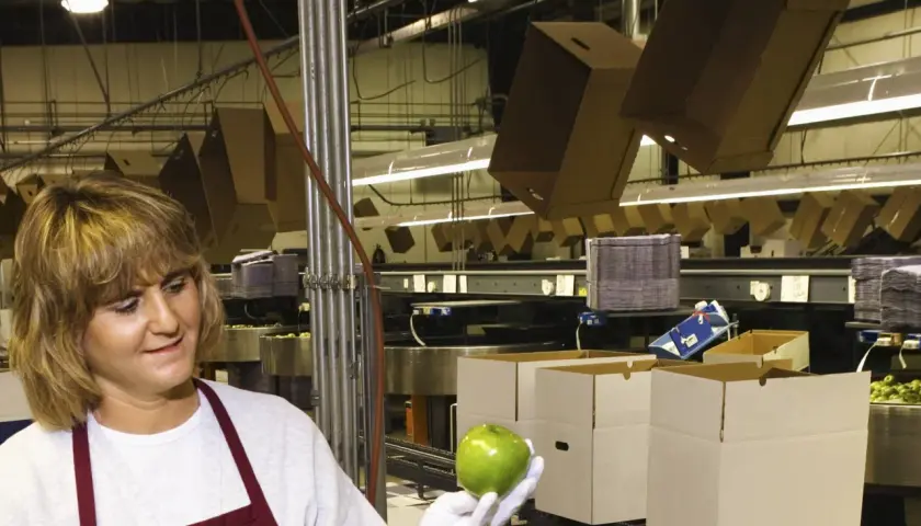 Frau prüft Äpfel in einer Verpackungsanlage. Ein Blick auf ausgefallene Jobs in der Lebensmittelindustrie.