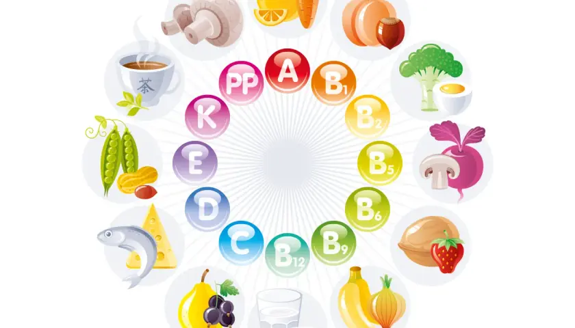 Vitamine A, B, C, D, E, K, PP und ihre Quellen. Ideal für ein lebensmittelchemie studium.