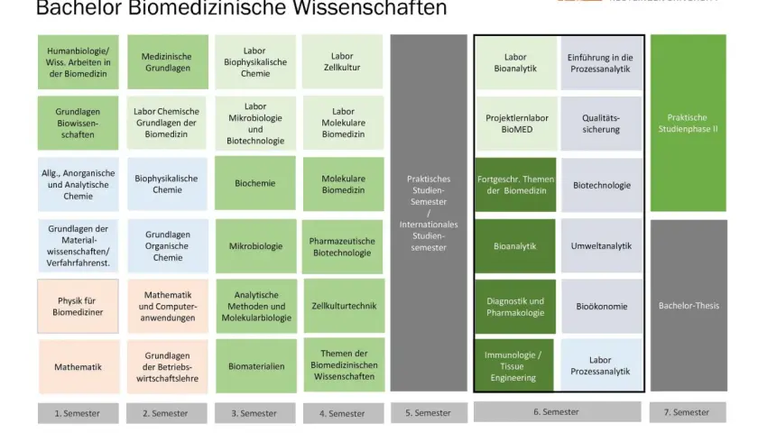 Studienverlaufsplan für das **Bioscience Studium** Bachelor Biomedizinische Wissenschaften. Zeigt Module wie Humanbiologie, Chemie, Mikrobiologie und praktische Studienphasen.
