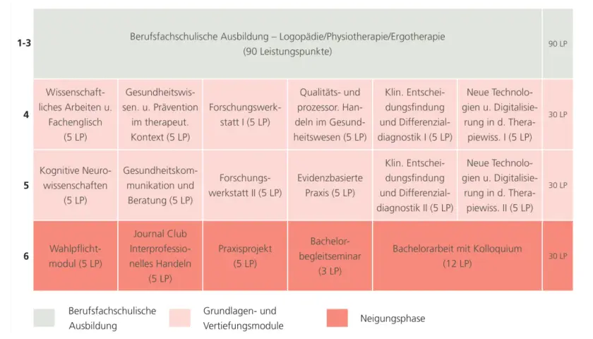 Studienplan für das Therapiewissenschaften Studium: Module wie "Wissenschaftliches Arbeiten" und "Klinische Entscheidungsfindung" bereiten auf die Praxis vor.