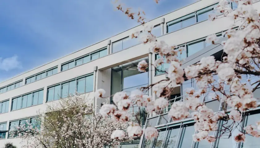 Blühende Kirschbäume vor dem modernen Gebäude der FOM Hochschule Essen.