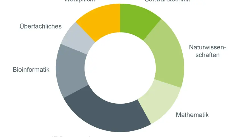 Kreisdiagramm zeigt Module eines bioinformatik studium: IT-Programmieren, Bioinformatik, Überfachliches, Wahlpflicht, Softwaretechnik, Naturwissenschaften, Mathematik.