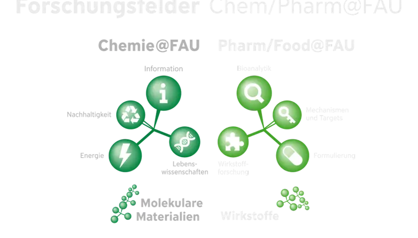 Forschungsfelder Chemie@FAU & Pharm/Food@FAU. Ein konsekutiver Master kann hier in Bereichen wie Wirkstoffforschung, Bioanalytik oder molekulare Materialien vertieft werden.