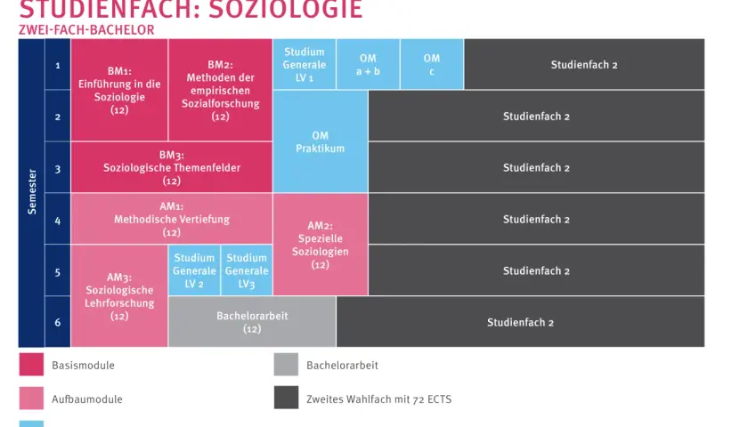 Studienplan für Soziologie: Einführung, Methoden, Themenfelder, Vertiefung, Forschung & Praxis. Soziologie erklärt die Gesellschaft.