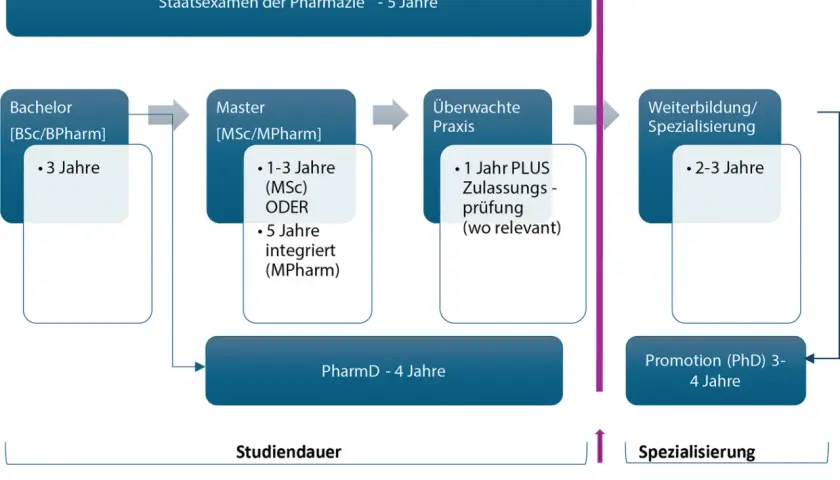 Der Bachelor ist ein erster Studienabschluss, oft 3 Jahre. Danach folgen Master, Praxis und Spezialisierung.