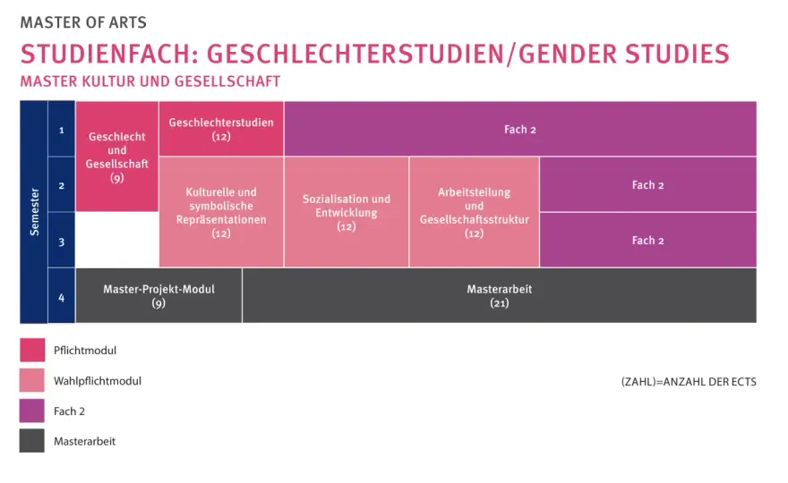 Gender Studies studieren - Inhalte, Chancen und Anforderungen