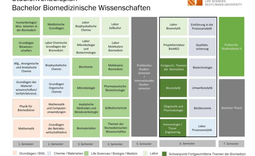 Bioscience-Studium in Deutschland - Inhalte, Kosten und Chancen