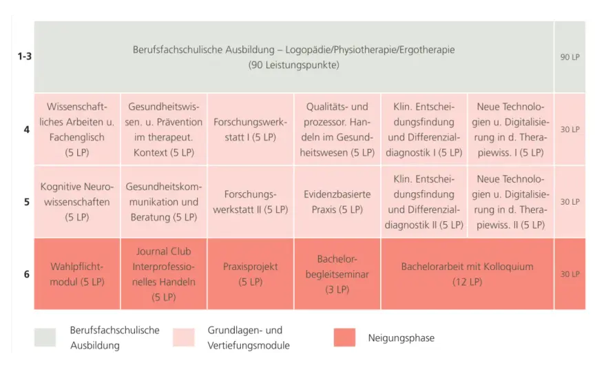 Therapiewissenschaften studieren - Studiengänge, Kosten und Chancen