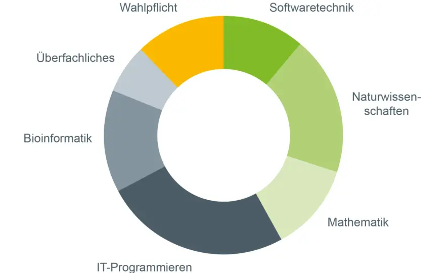 Bioinformatik-Studium - Inhalte, Voraussetzungen und Berufschancen
