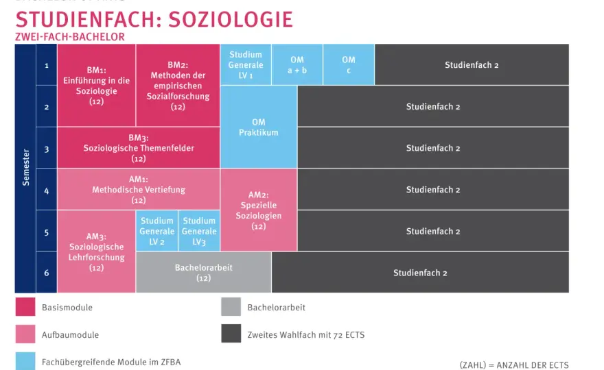 Soziologie studieren - Inhalte, Methoden und Berufsfelder