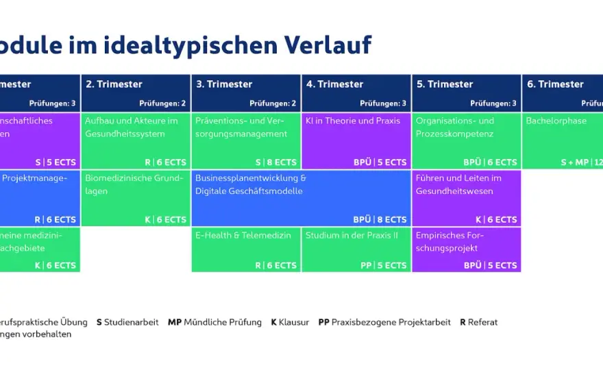 Medizinmanagement-Studium - Inhalte, Kosten und Berufschancen