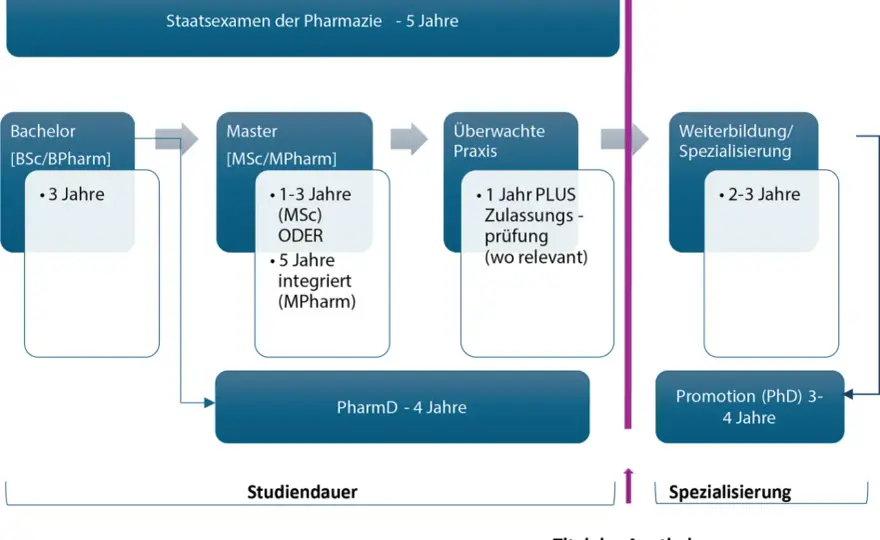 Bachelor studieren - Dauer, Abschlussarten und Pharmazie