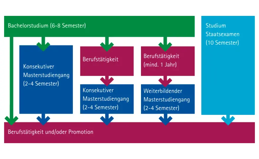 Wie lange dauert ein Bachelorstudium? 6, 7 oder 8 Semester
