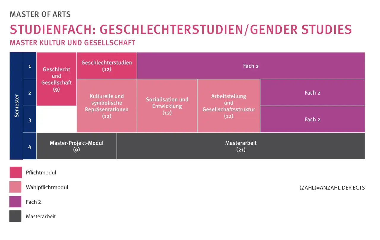 Studienplan für ein Masterstudium in Gender Studies. Zeigt Module wie "Geschlecht und Gesellschaft" und "Masterarbeit".