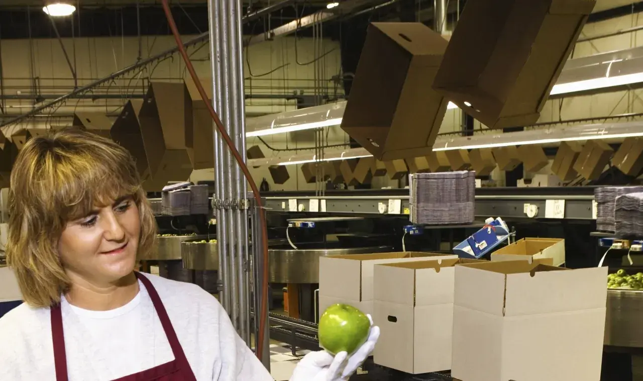 Frau prüft Äpfel in einer Verpackungsanlage. Ein Blick auf ausgefallene Jobs in der Lebensmittelindustrie.