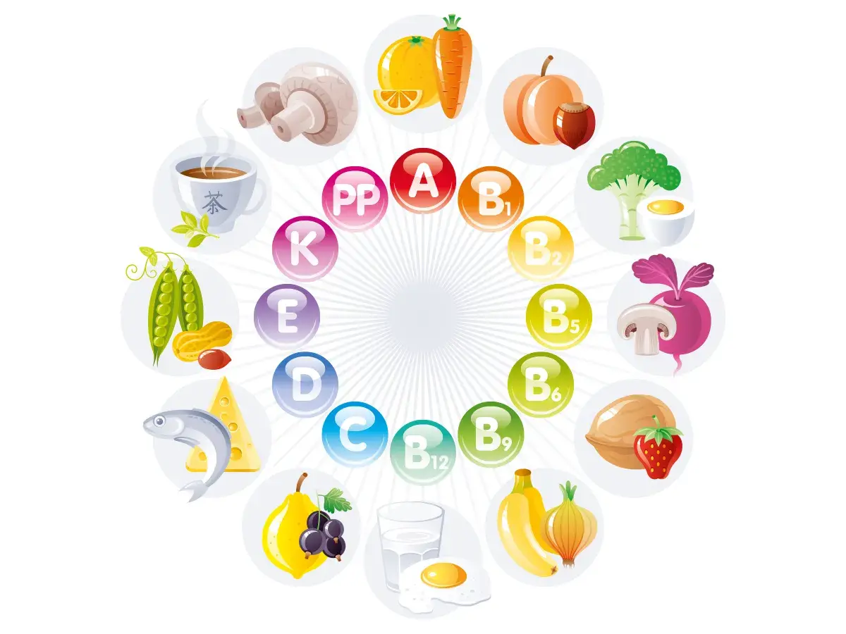 Vitamine A, B, C, D, E, K, PP und ihre Quellen. Ideal für ein lebensmittelchemie studium.