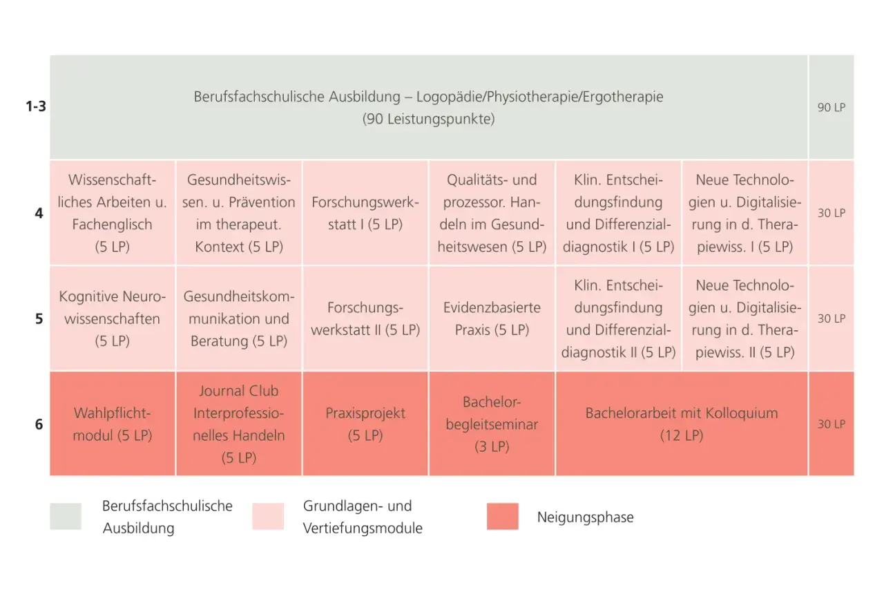 Studienplan für das Therapiewissenschaften Studium: Module wie "Wissenschaftliches Arbeiten" und "Klinische Entscheidungsfindung" bereiten auf die Praxis vor.
