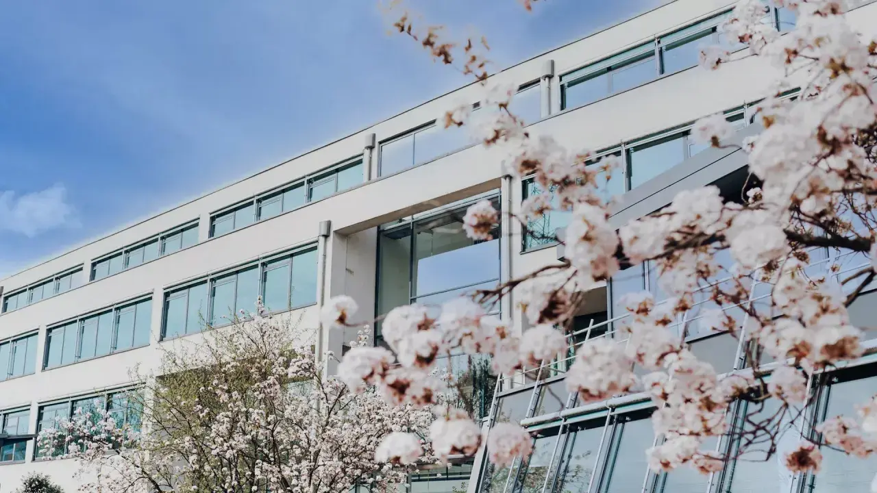 Blühende Kirschbäume vor dem modernen Gebäude der FOM Hochschule Essen.