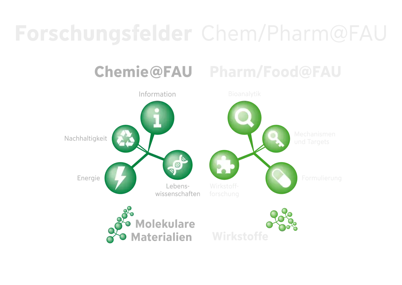 Forschungsfelder Chemie@FAU & Pharm/Food@FAU. Ein konsekutiver Master kann hier in Bereichen wie Wirkstoffforschung, Bioanalytik oder molekulare Materialien vertieft werden.