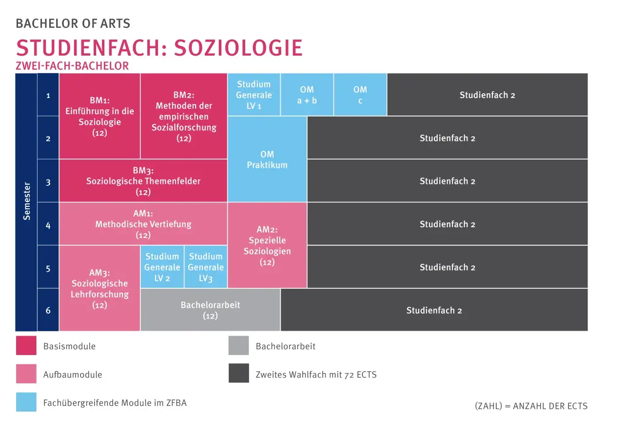 Studienplan für Soziologie: Einführung, Methoden, Themenfelder, Vertiefung, Forschung & Praxis. Soziologie erklärt die Gesellschaft.