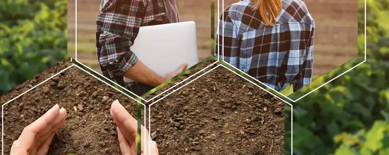 Menschen in karierten Hemden mit Laptop und Händen, die Erde berühren. Einblicke in kreative Berufe in der Natur.