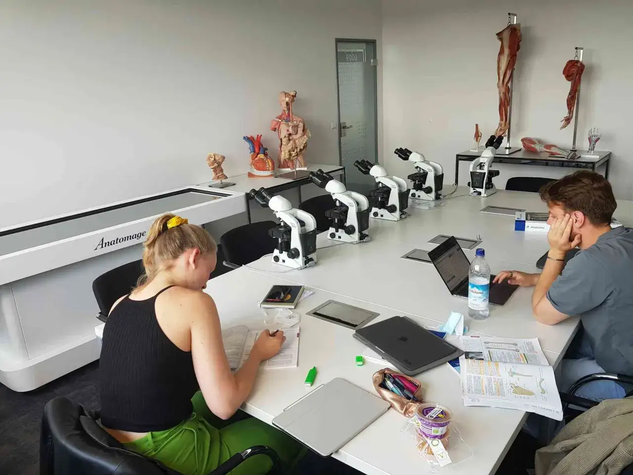 Studenten lernen Anatomie mit Mikroskopen und Modellen im hmu potsdam.