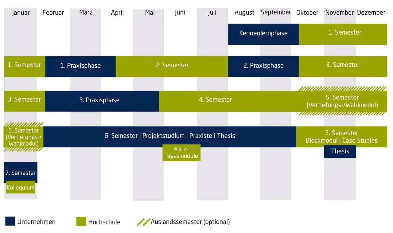 Der Studienplan zeigt, wie viele Semester ein Bachelorstudium dauert: 7 Semester, inklusive Praxisphasen und Thesis.